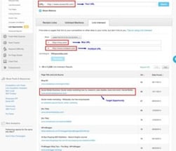Using backlink analysis is key when learning how to conduct a competitive analysis to identify competitor SEO opportunities.