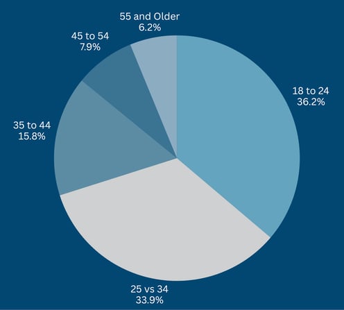 TikTok user age demographics visual from a guide to TikTok ads showing 18–34 as the primary audience.