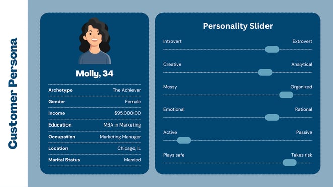 Example of a customer persona used to inform conversion rate optimization and targeted marketing.
