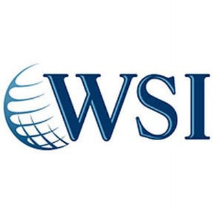 WSI Logo