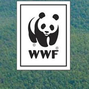 WWF Logo